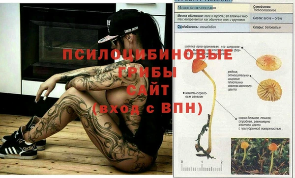 прущие грибы Ветлуга