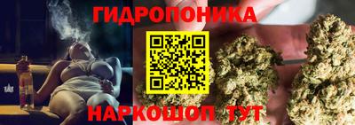 стафф Бийск