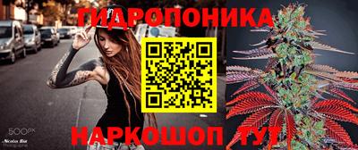стафф Бийск
