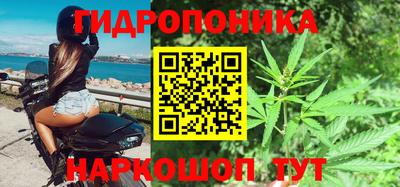 стафф Бийск