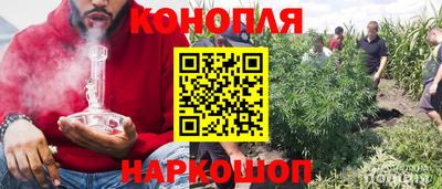 стафф Бийск